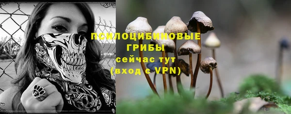 спиды Алзамай