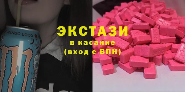 индика Алексин
