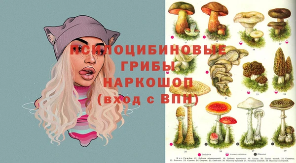 мдпв Арсеньев