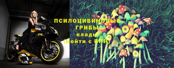 прущая мука Армянск