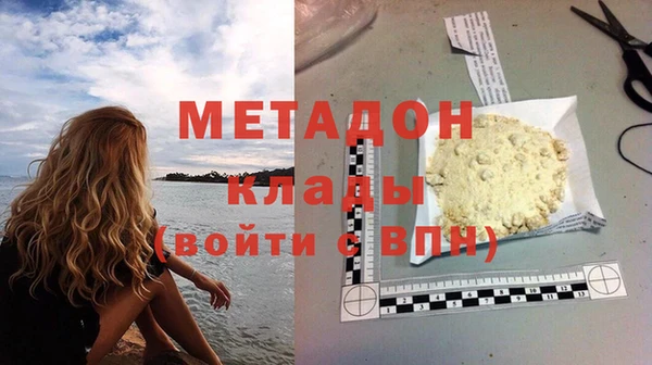 индика Алексин