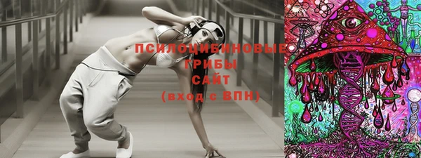 мдпв Арсеньев