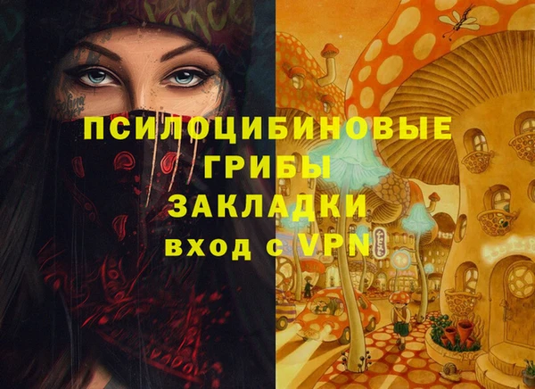 спиды Алзамай