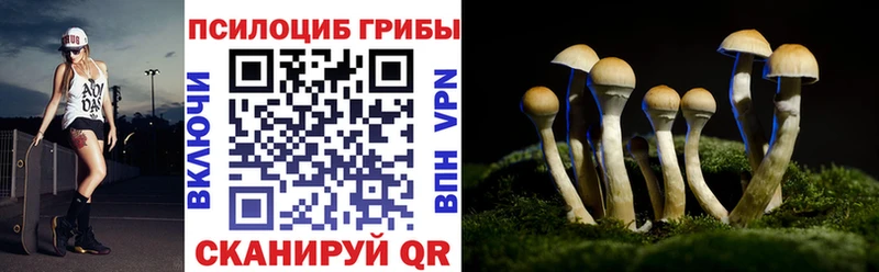 Псилоцибиновые грибы GOLDEN TEACHER  наркотики  Лесосибирск 